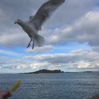 P1030775.JPG P1030775.JPG