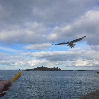 P1030776.JPG P1030776.JPG