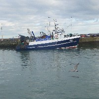 P1030785.JPG P1030785.JPG