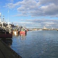 P1030786.JPG P1030786.JPG