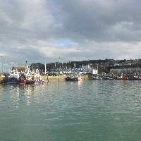 P1030788.JPG P1030788.JPG