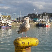 P1030790.JPG P1030790.JPG