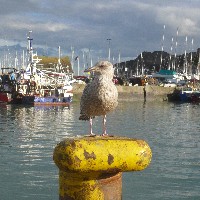 P1030792.JPG P1030792.JPG