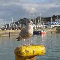 P1030793.JPG P1030793.JPG