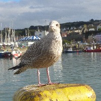 P1030794.JPG P1030794.JPG