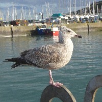 P1030805.JPG P1030805.JPG