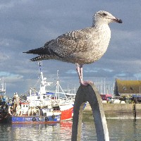 P1030806.JPG P1030806.JPG