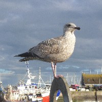 P1030807.JPG P1030807.JPG