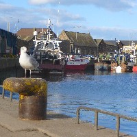 P1030808.JPG P1030808.JPG