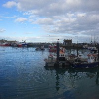 P1030810.JPG P1030810.JPG