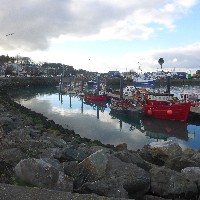 P1030818.JPG P1030818.JPG