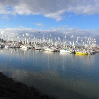 P1030826.JPG P1030826.JPG