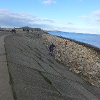 P1030831.JPG P1030831.JPG