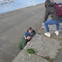 P1030833.JPG P1030833.JPG