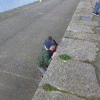 P1030834.JPG P1030834.JPG