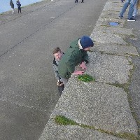 P1030835.JPG P1030835.JPG