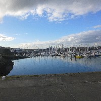 P1030838.JPG P1030838.JPG