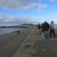 P1030839.JPG P1030839.JPG