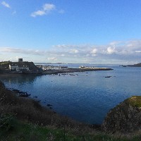 P1030848.JPG P1030848.JPG