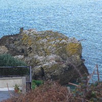 P1030854.JPG P1030854.JPG