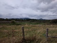 IMG_20170902_141859684.jpg IMG_20170902_141859684.jpg