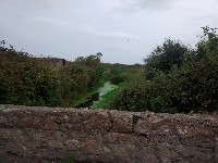 IMG_20170906_181955675.jpg IMG_20170906_181955675.jpg