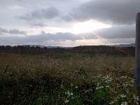 IMG_20170906_184226039.jpg IMG_20170906_184226039.jpg