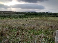 IMG_20170906_184411654_HDR.jpg IMG_20170906_184411654_HDR.jpg