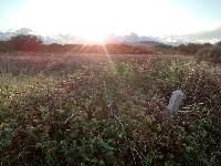 IMG_20170908_191358292_HDR.jpg IMG_20170908_191358292_HDR.jpg