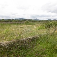 P1020585.JPG P1020585.JPG