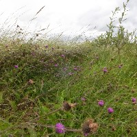 P1020586.JPG P1020586.JPG