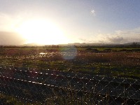 P1030367.JPG P1030367.JPG