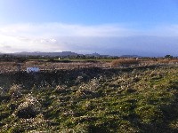 P1030371.JPG P1030371.JPG